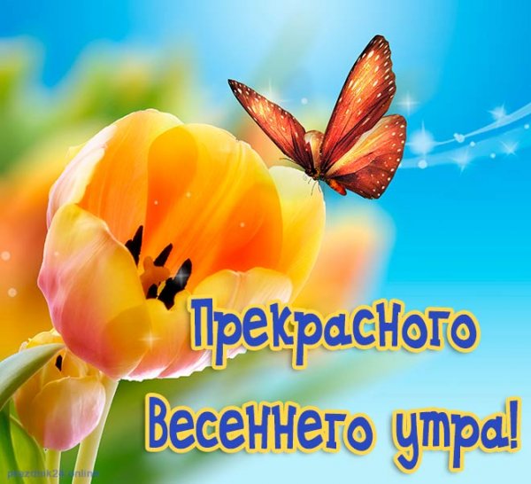 Доброе Весеннее утро