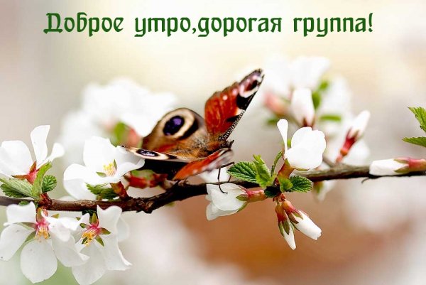 Весеннее настроение