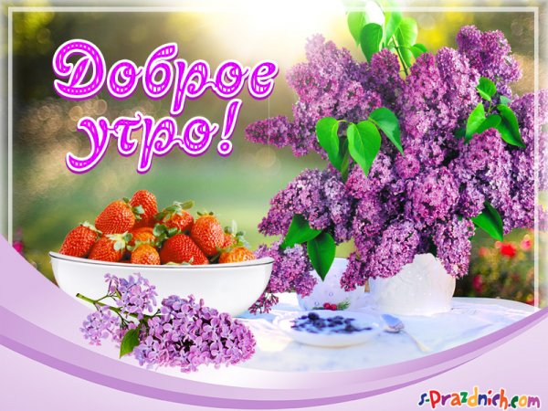 Открытки с добрым майским утром