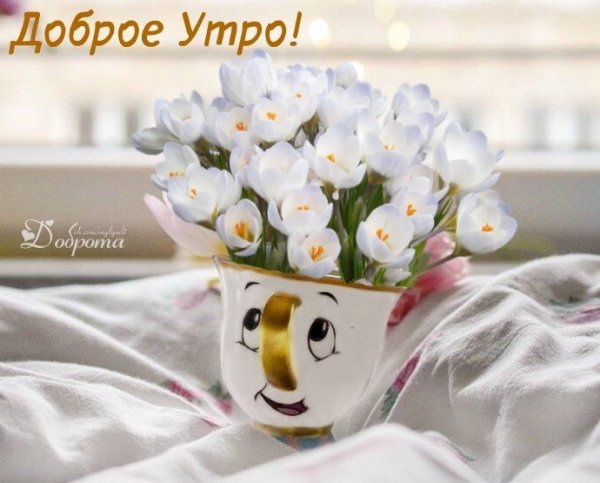 Доброе утро 1 марта Весна