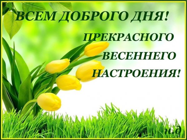 Хорошего весеннего дня