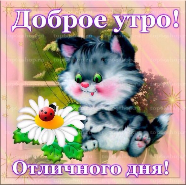 Хорошего дня картинки