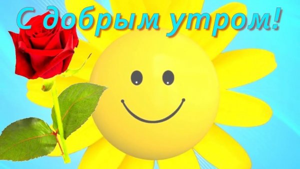 Открытки с добрым утром прикольные
