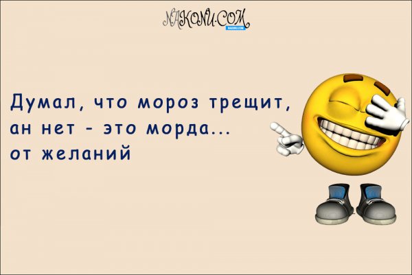 Смешные рассказы для поднятия настроения