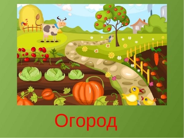 Огород для детей