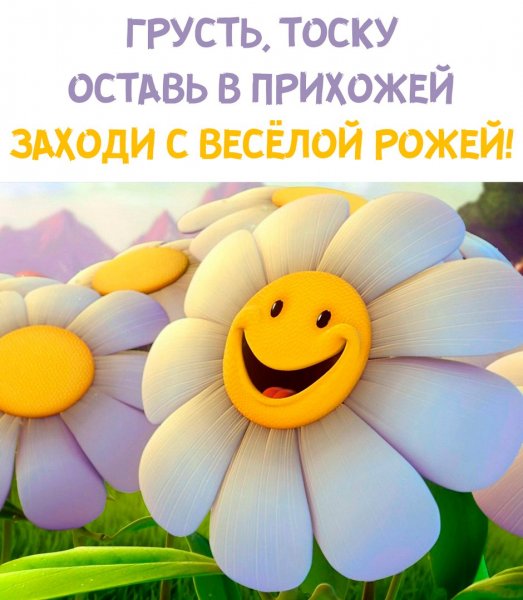 Грусть тоску оставь в прихожей заходи с весёлой рожей