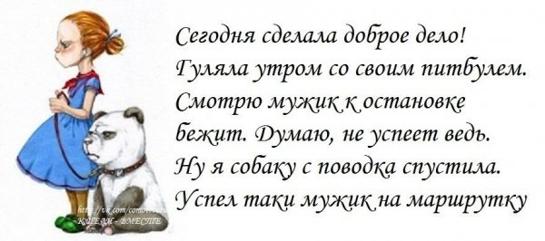 Весёлые шутки для поднятия настроения