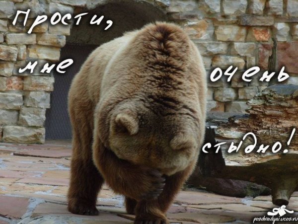 Прости мне стыдно