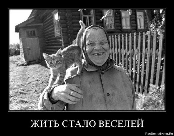 Весело живем