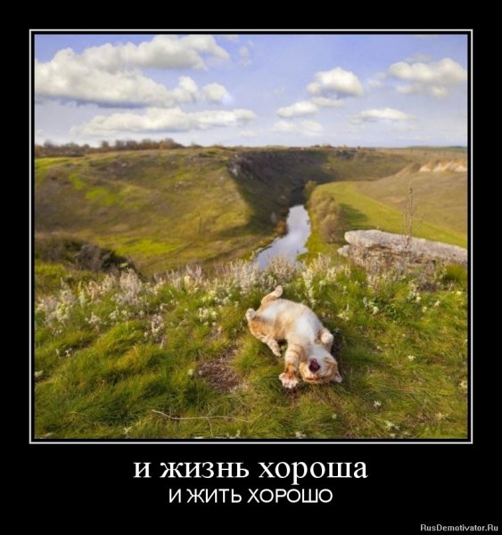 Жизнь хороша