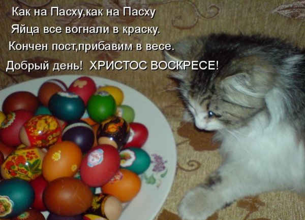 Поздравление с Пасхой смешные картинки
