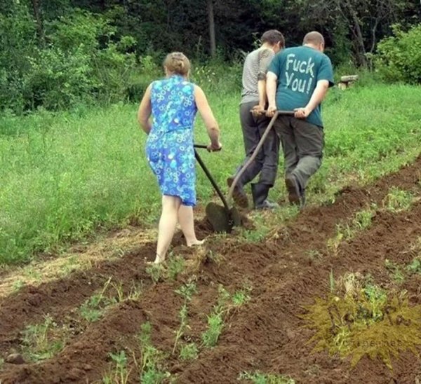 Женщины пашут огород