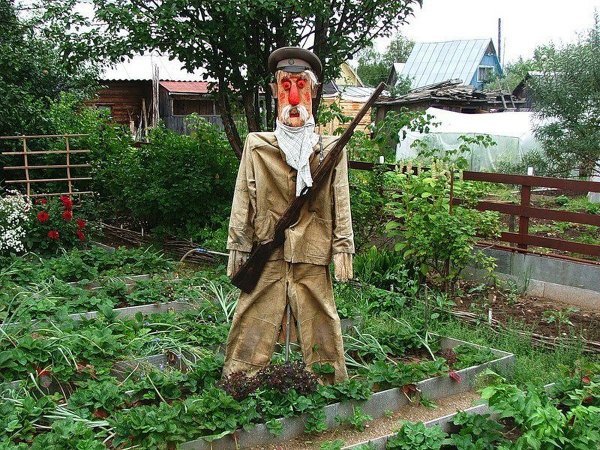 Дачник на огороде