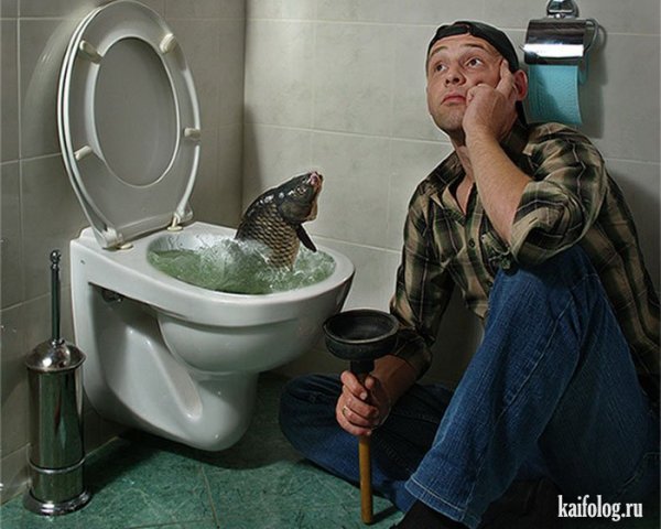 Смешная сантехника