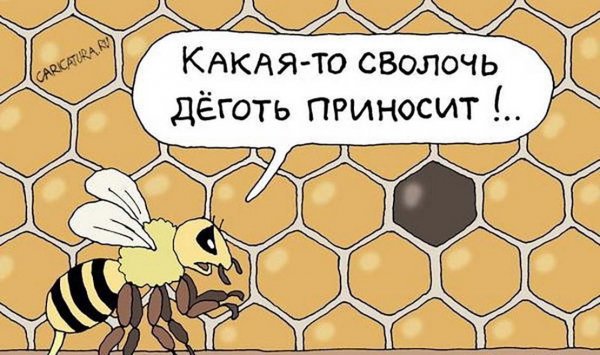 Пчела прикол