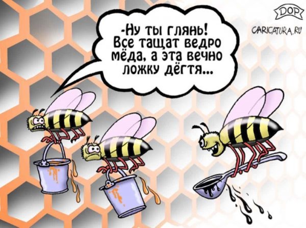 Анекдоты про пчеловодов и пчёл