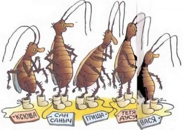 Смешной таракан