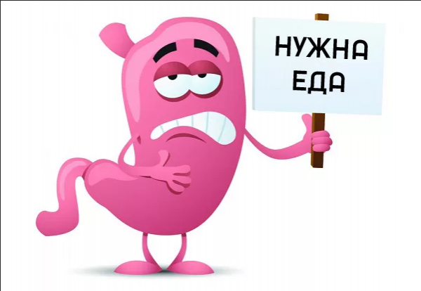 Радостный желудок