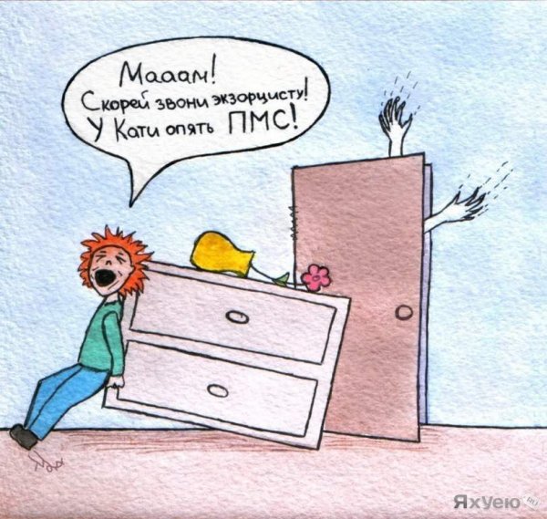 ПМС приколы