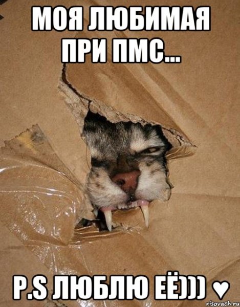 ПМС приколы