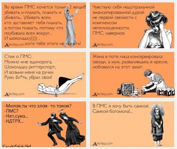 Смешные высказывания про ПМС