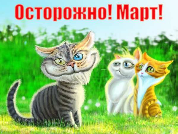 Открытки про мартовских котов