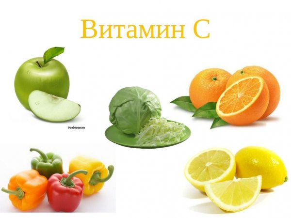 Веселые фрукты вектор