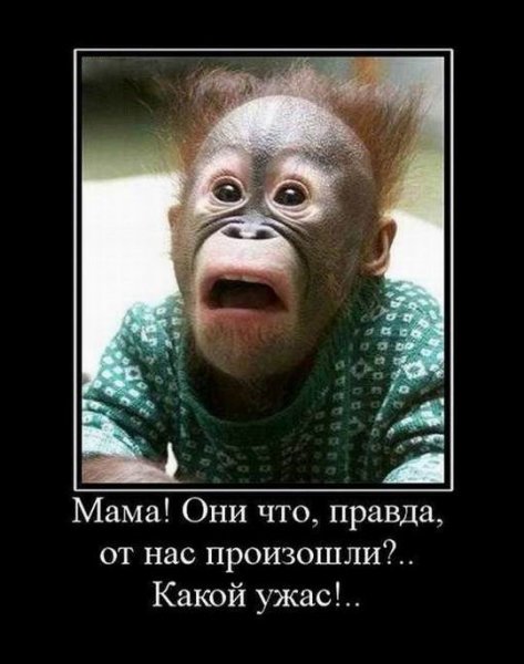 Страшные смешные существа