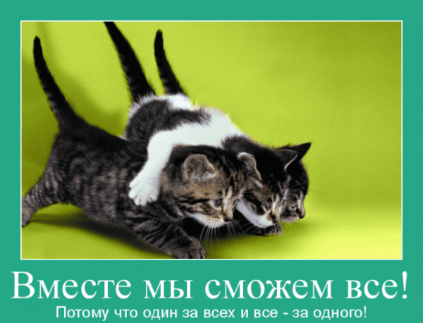 Вместе мы все сможем