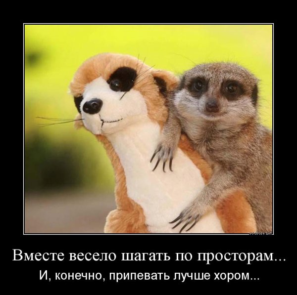 Вместе весело... - Юмор