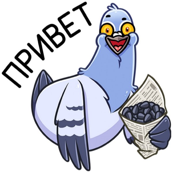 Стикеры ВК голубь Михаил