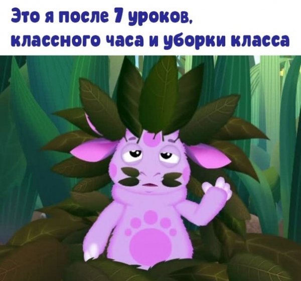 Лунтик 505 серия