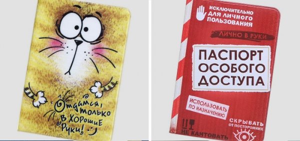 Обложка на паспорт прикол