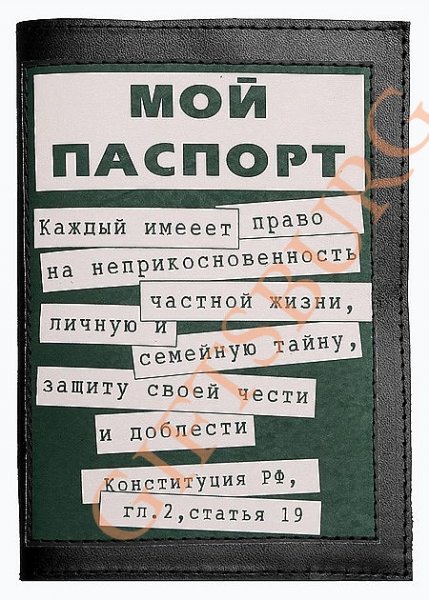 Обложка на загранпаспорт прикольная