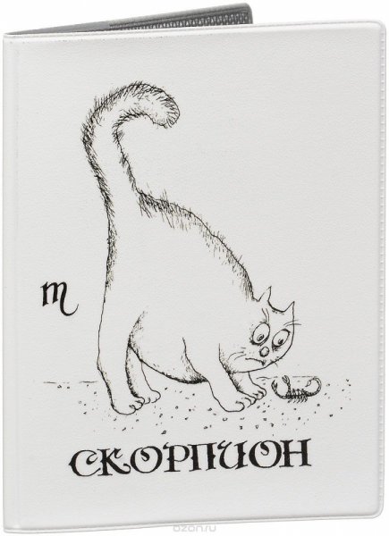 Обложка на паспорт оригинальная