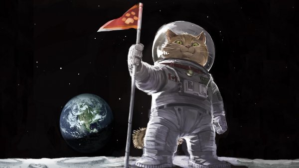 Космонавтики мультяшный