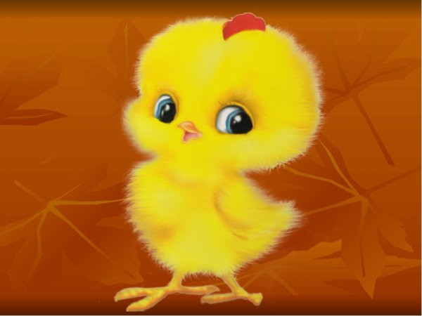 Цыпленок для детей