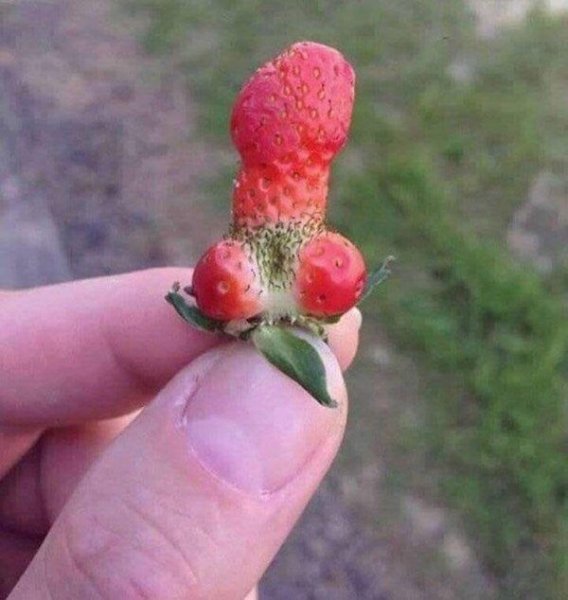 Смешные ягодки