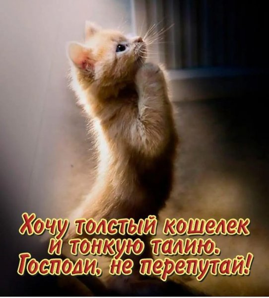 Ну прости меня пожалуйста