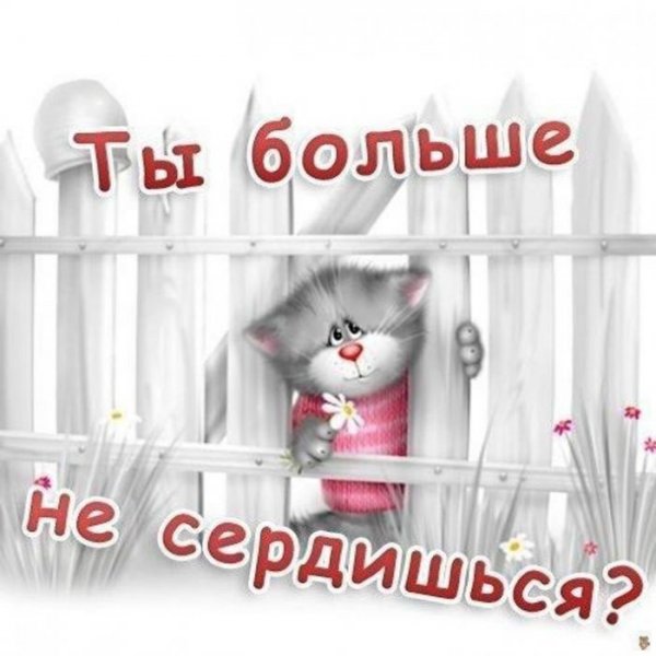 Открытки с извинениями любимой девушке