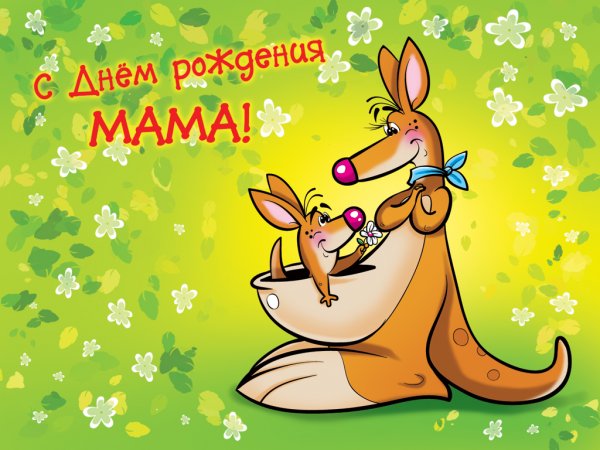Адме с днем рождения