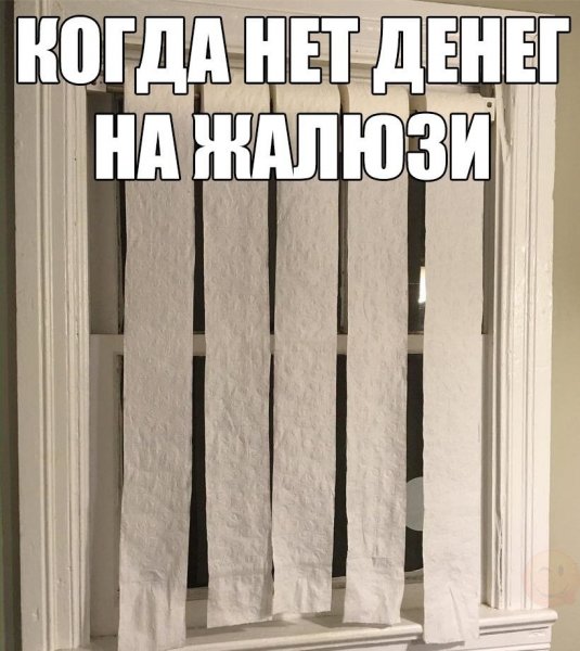 Денег нет картинки прикольные