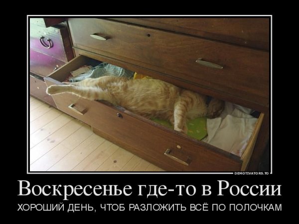 Воскресенье демотиватор