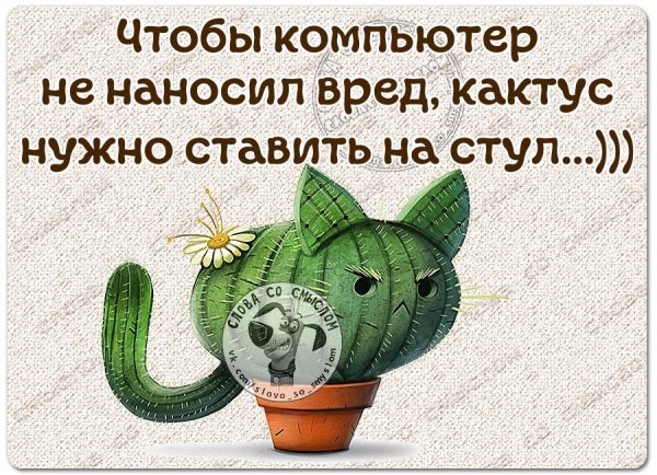 Позитивные выражения