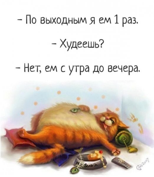 Смешные фразы про выходные