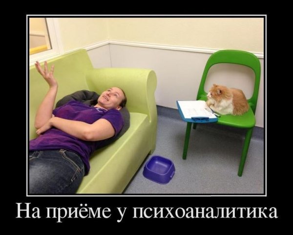 Психология приколы