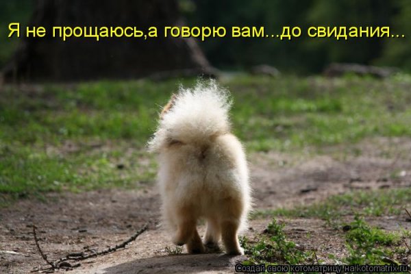 Прощание веселое