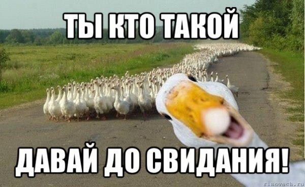 Ты кто такой давай до свидания картинки