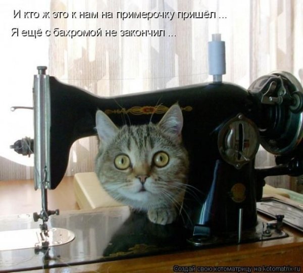 Приколы про шитье