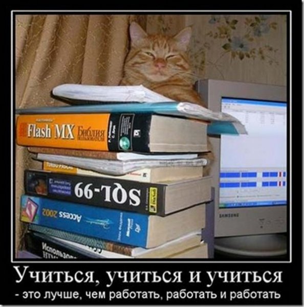 Демотиваторы про учебу в школе